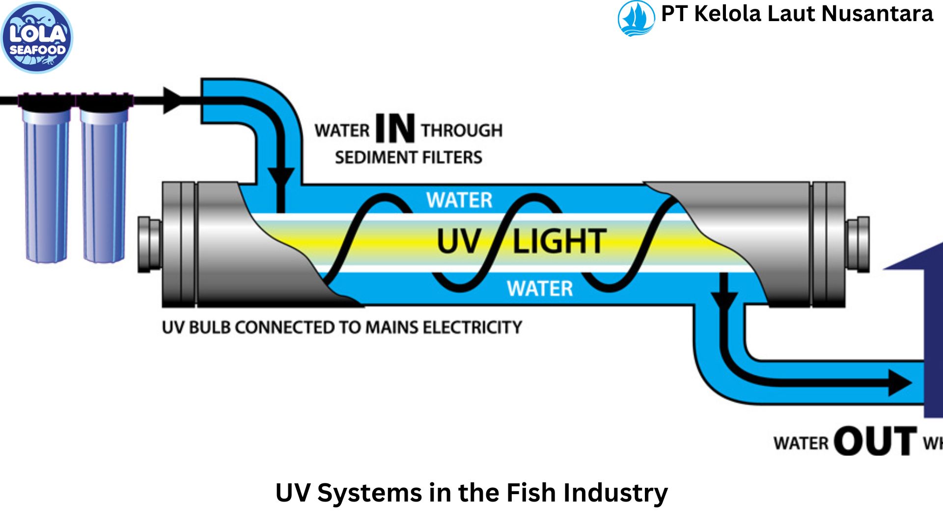 UV Systems in the Fish Industry